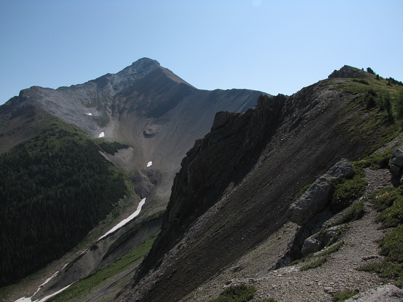 Looks pretty easy from here.