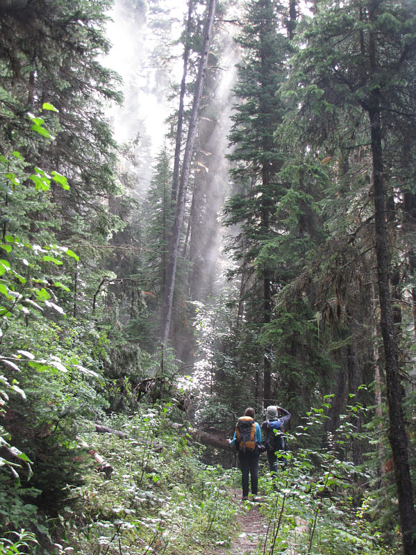 It's like the Enchanted Forest except without all the cheap garden gnomes!