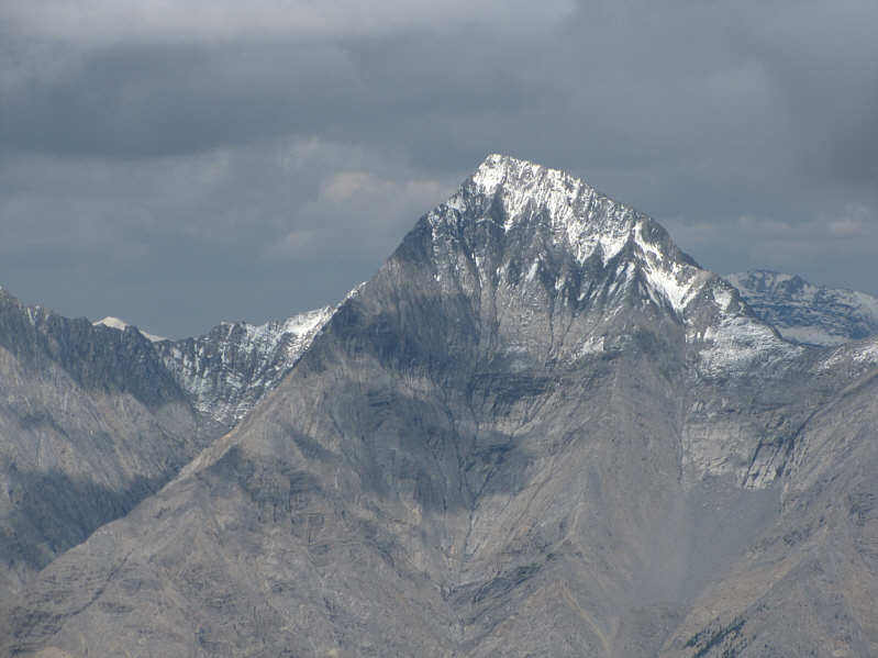 Might be worth exploring...