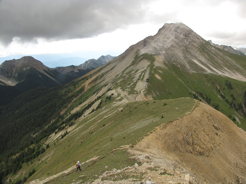 Time to start thinking about dinner!