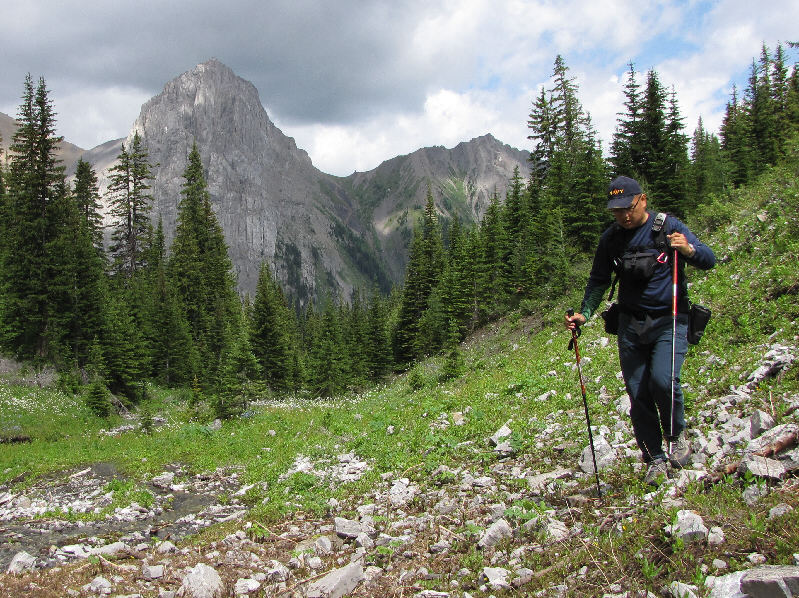 The old road will get you up here without any bushwhacking.