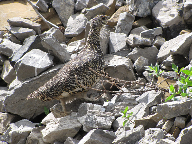 I would run into these two again on my way out.