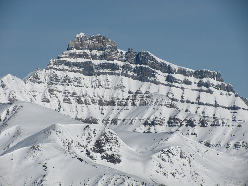 Snoopy has some powder on his nose!