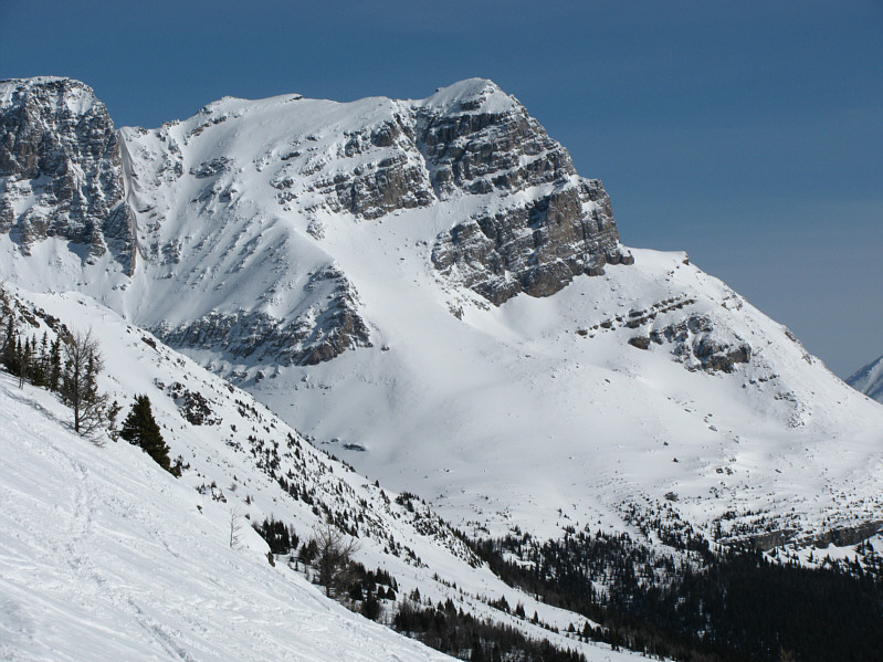 Sigh. One of my less memorable summits (no views).