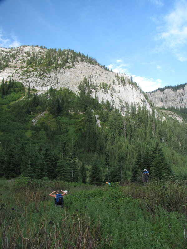 Not a good place to wear shorts!