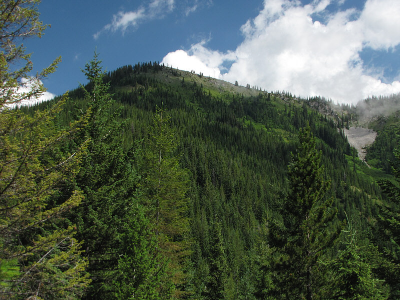 The trail climbs over the col at far right.