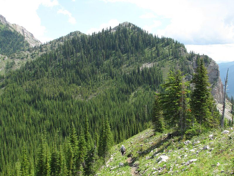 We followed the cut block along the right-hand ridge.