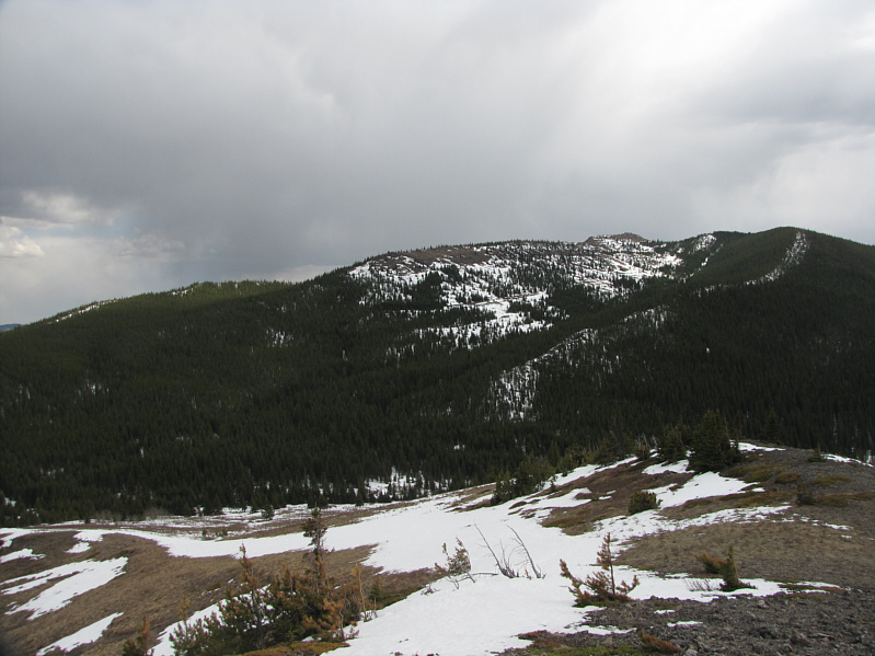 I feel like sleeping already...