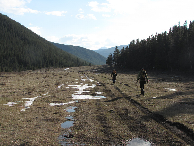 There's cow dung everywhere, but it sure beats post-holing!