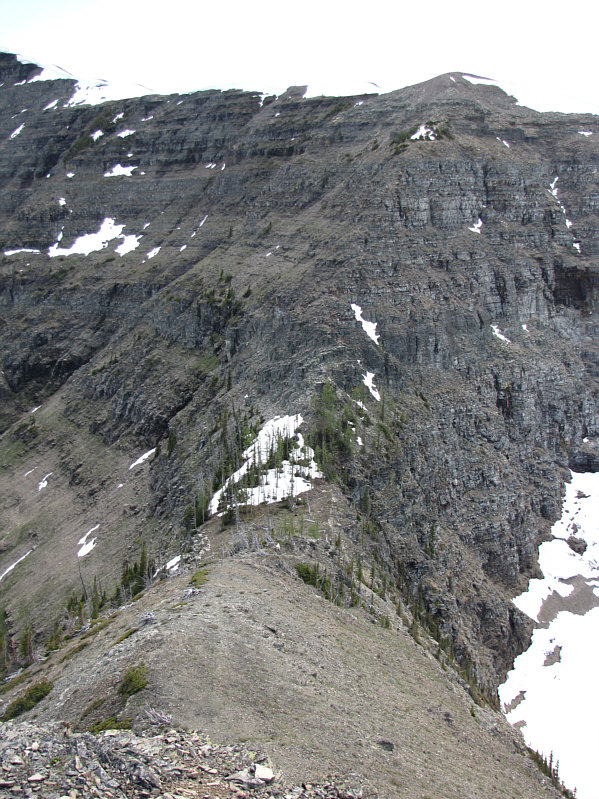 I saw four goats moving about on the cliffs to the left.