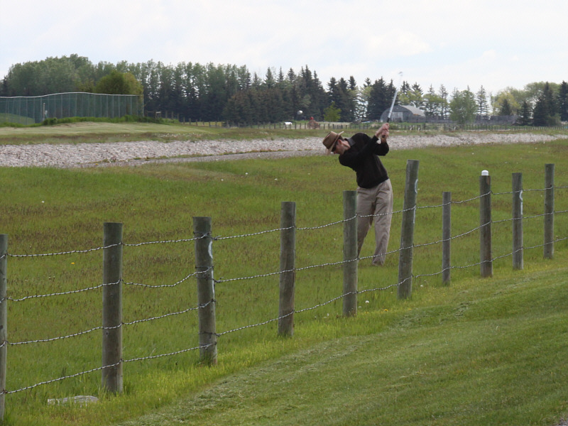 It's amazing how often balls end up here!