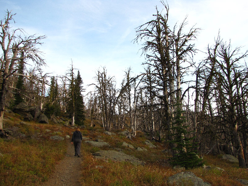 Easiest lookout hike ever.