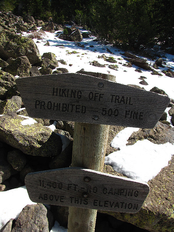 Seems a bit extreme for a plant that looks like a shrunken dandelion...