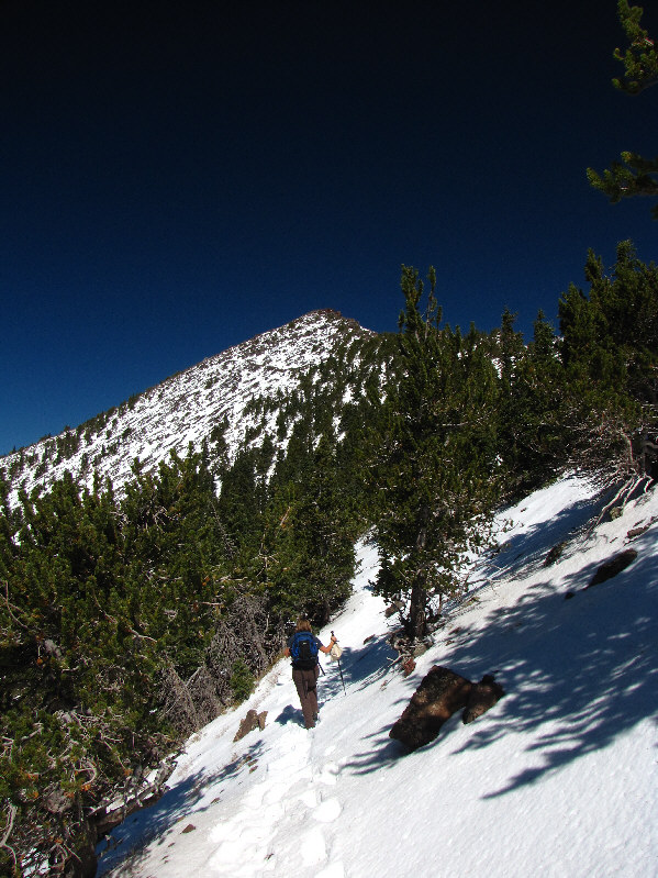 If you look carefully, you can see where the trail skirts around the false summit.