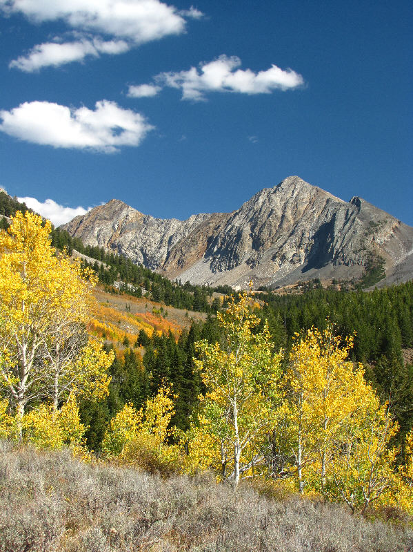 This valley is also the access route for Old Hyndman Peak.