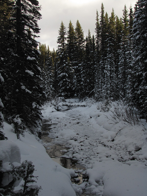 We actually took the Boulton Creek trail by mistake, so this was actually my first time skiing this section (and maybe my last!).