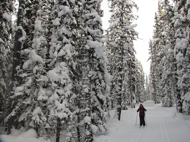 Both Kelly and I had minor wipeouts on the way down!