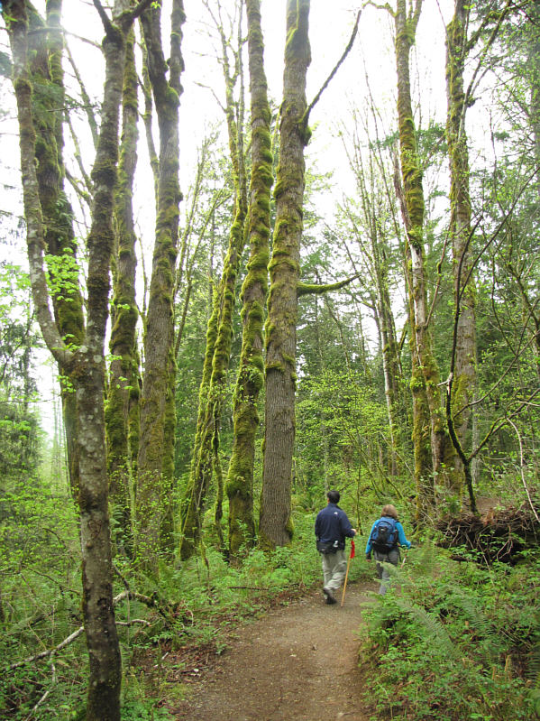 Everything is so green out here!