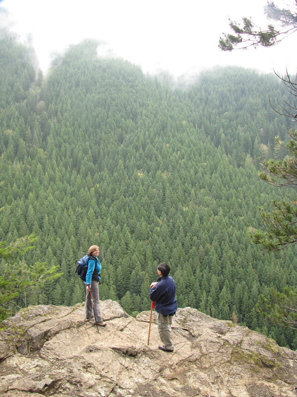 Unfortunately, views are limited on this hike.