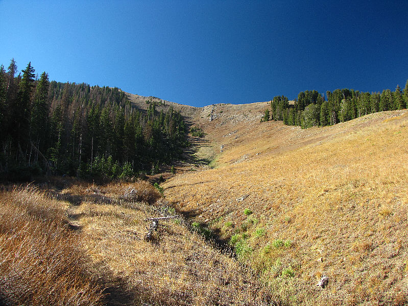 This would be a good ski run in winter!