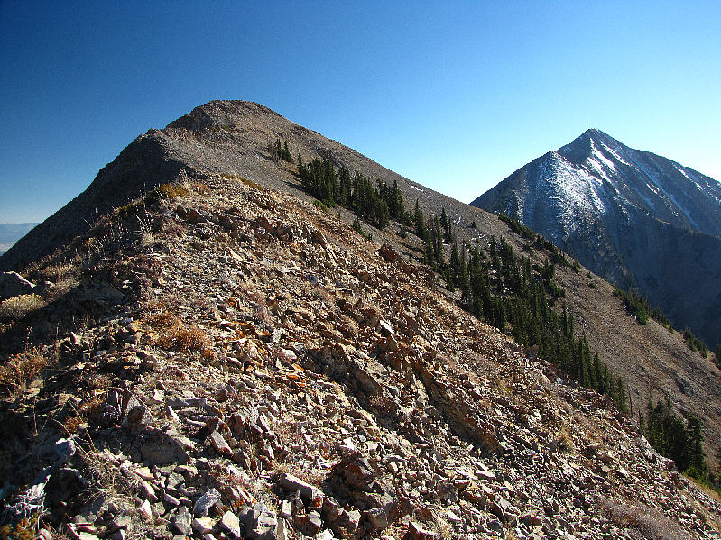 Gotta love 2-for-1 deals!