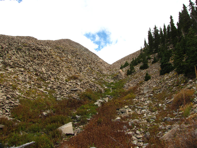 Trust me. Stay in the gully!