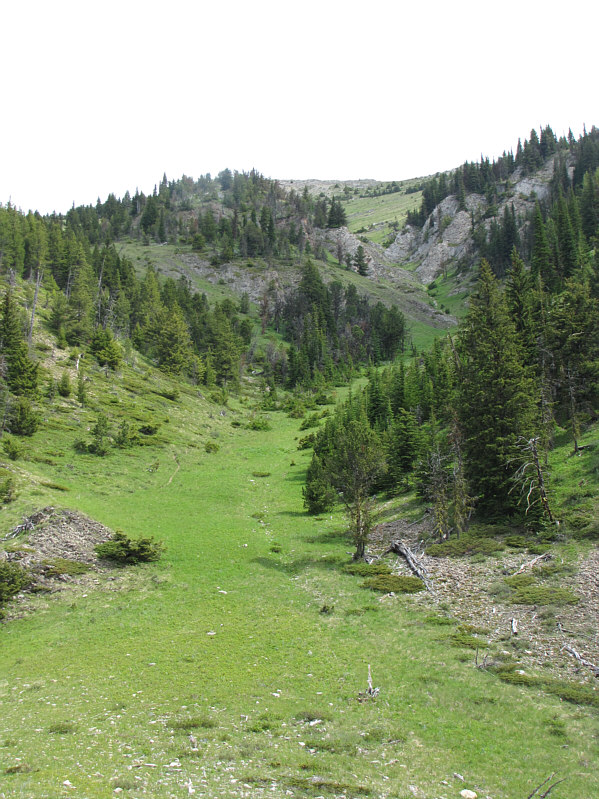 Start your grunting!