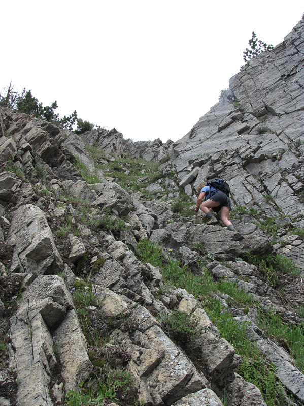 Kelly climbed up this like a pro!