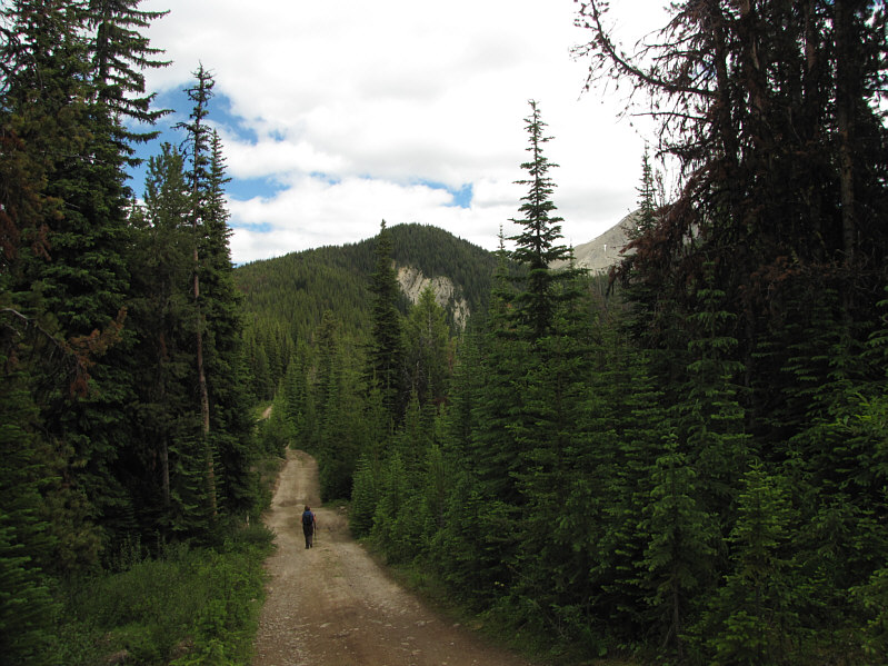 The road is generally in good shape, but some very steep sections probably require a 4x4 vehicle.