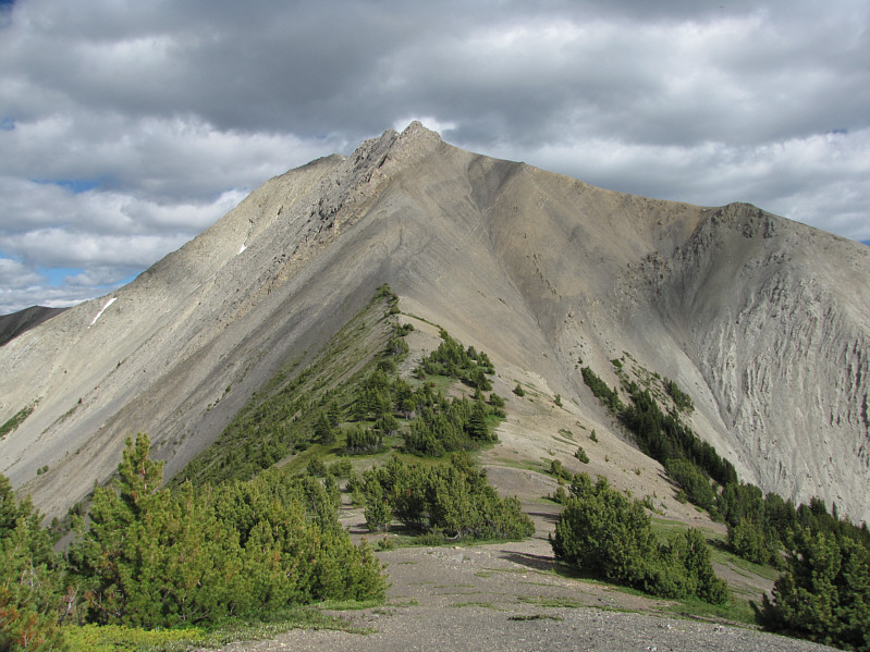 There is a locked metal storage box on this outlier (not shown).
