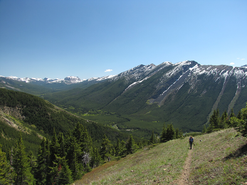 We saw lots of bear scat on this trail.