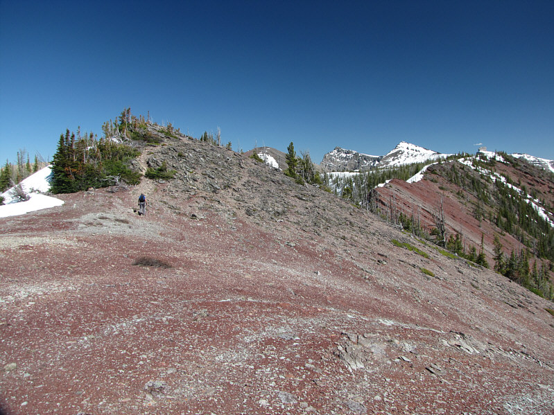 I still can't believe this is the official summit!!