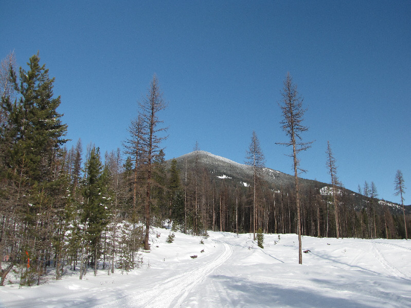 I actually got my car stuck briefly here.