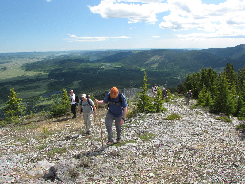 That fence is to keep people from kicking rocks down onto nesting falcons.