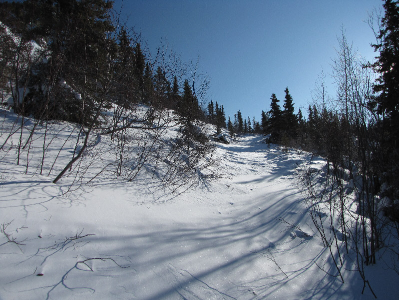 Steeper than the main road, but I gained elevation more quickly here.