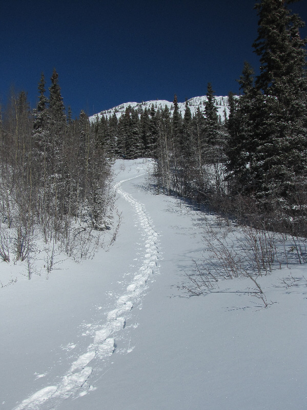 Not a bad job of breaking trail if I may say so myself!