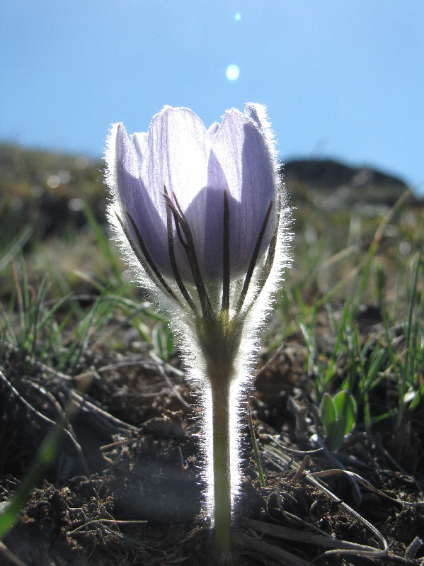 Another sign that spring is finally here.