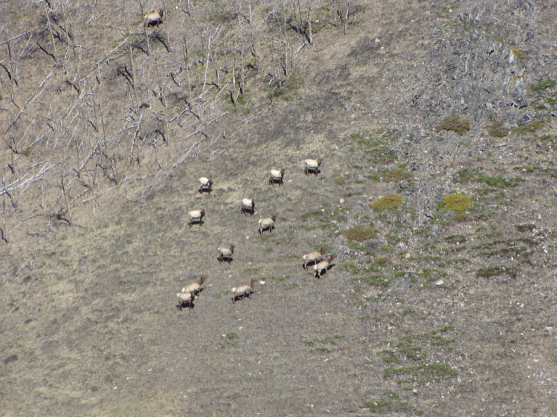 So that's where all the poop has been coming from!!