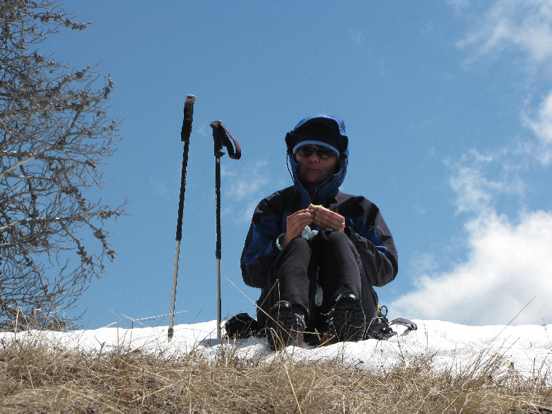 I think I see one on your leg, Dinah...