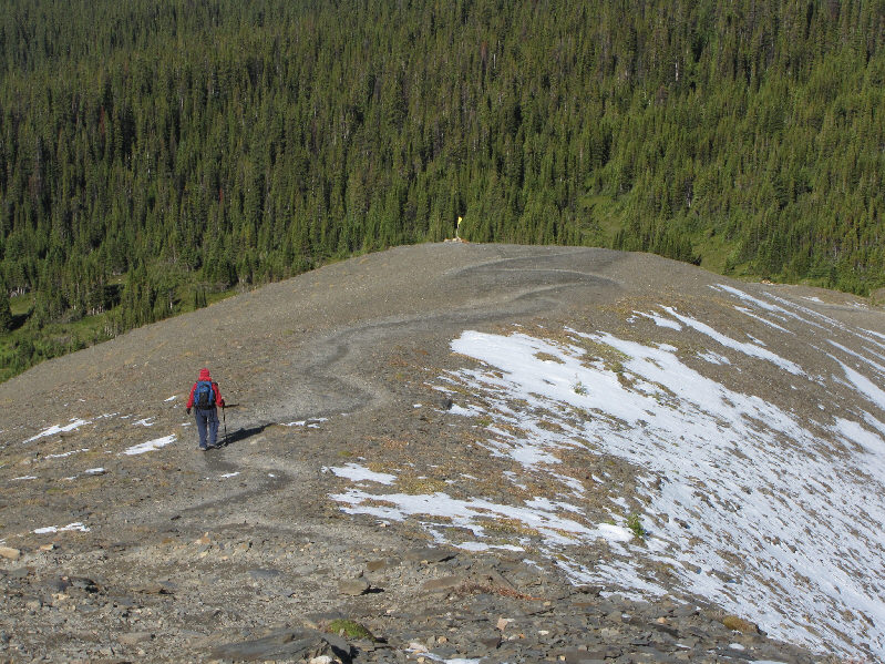 Not sure why I included this photo, but I like it.