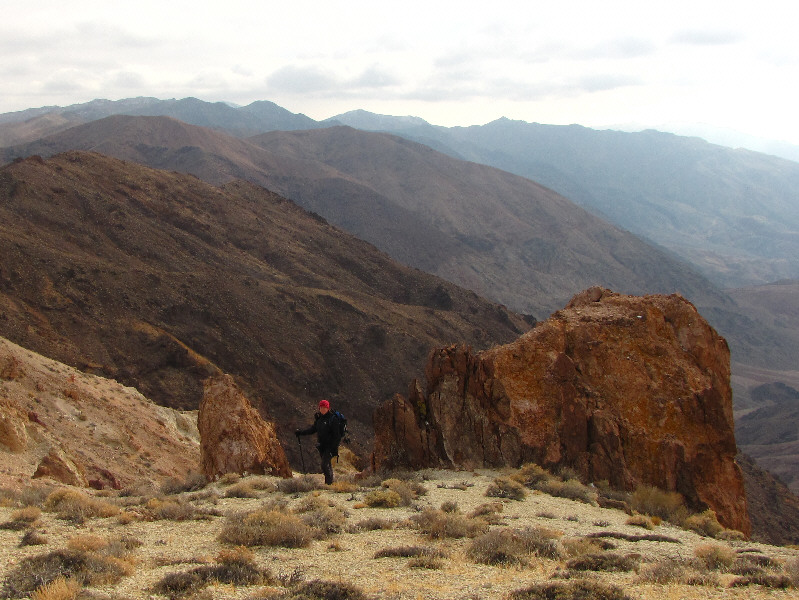 I didn't have time to bag all these nubs!