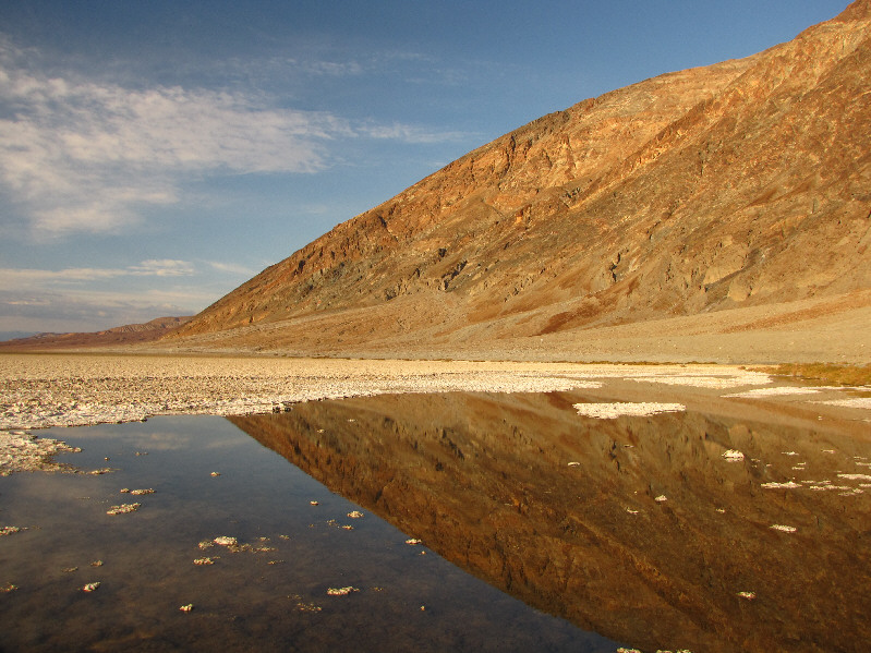 Some insects and snails actually thrive here.