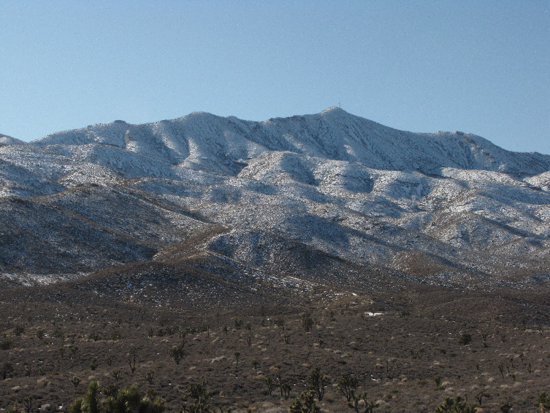 Can you spot the road?