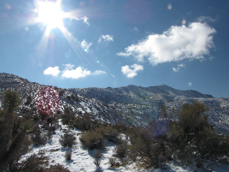 Wish I had my waterproof boots for this hike!