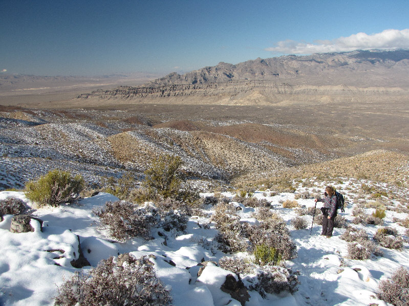 Good place to get shrubbery. Ni!