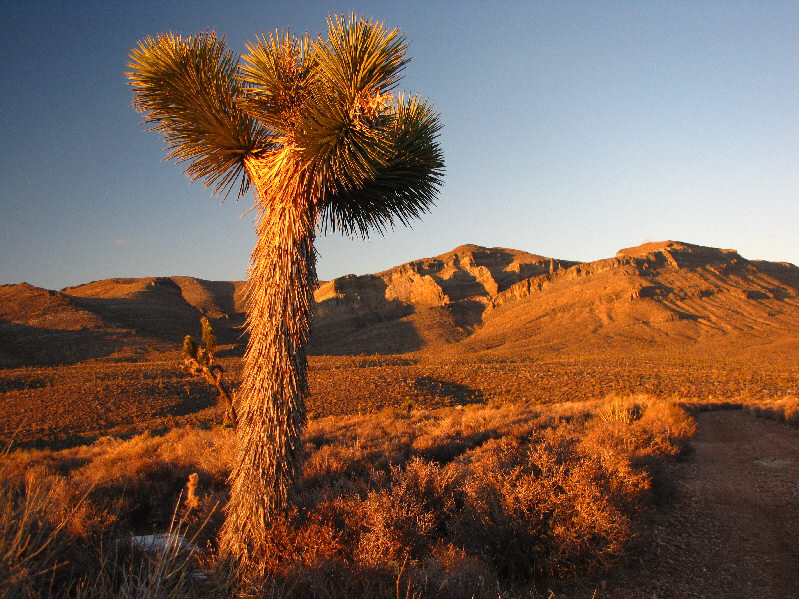 Just another beautiful day in southern Nevada!