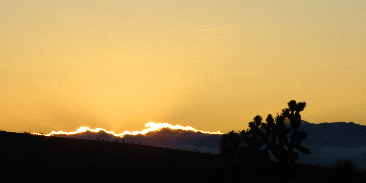 The sun is gone by 4:17 PM!