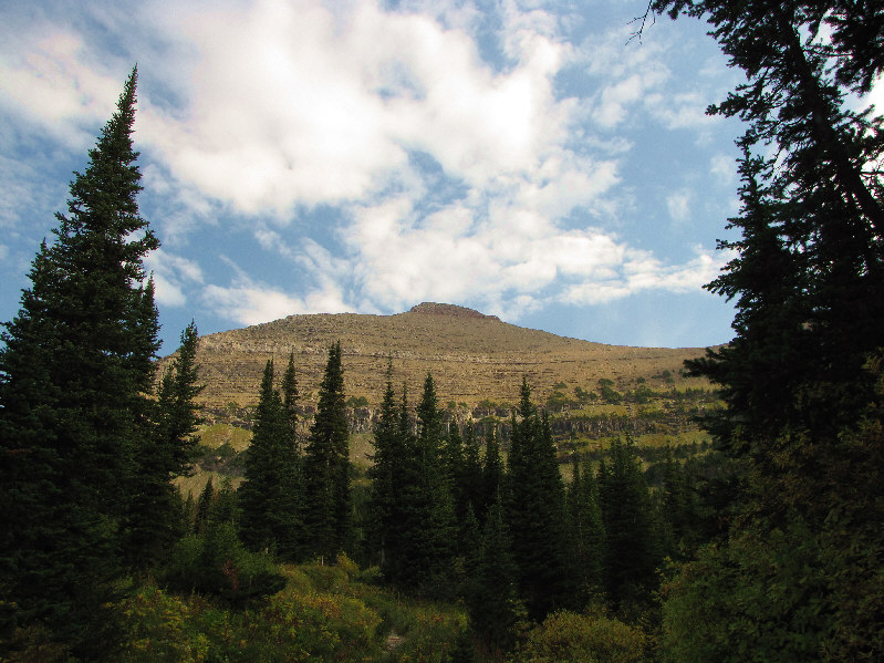 Also a rather foreshortened view.