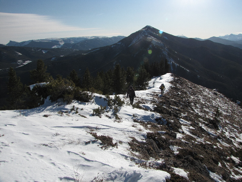 I thought Dinah would've turned around by now!! ;-)