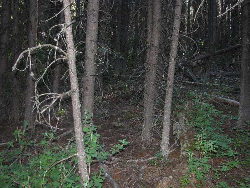 Doesn't look so bad, does it?